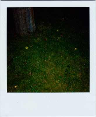 zug-zwang